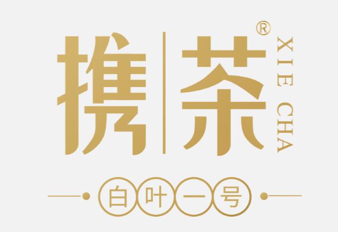 “攜茶”品牌發(fā)布暨“白葉一號”首采發(fā)布會(huì )舉行